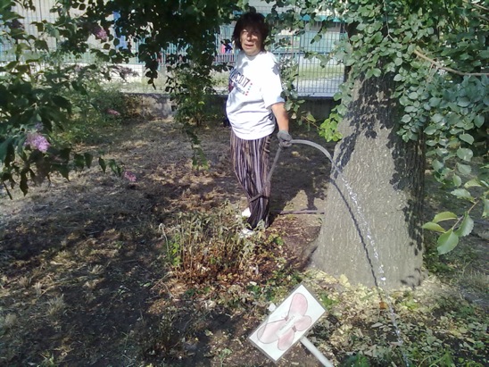 Si innaffia il giardino Si innaffia il giardino