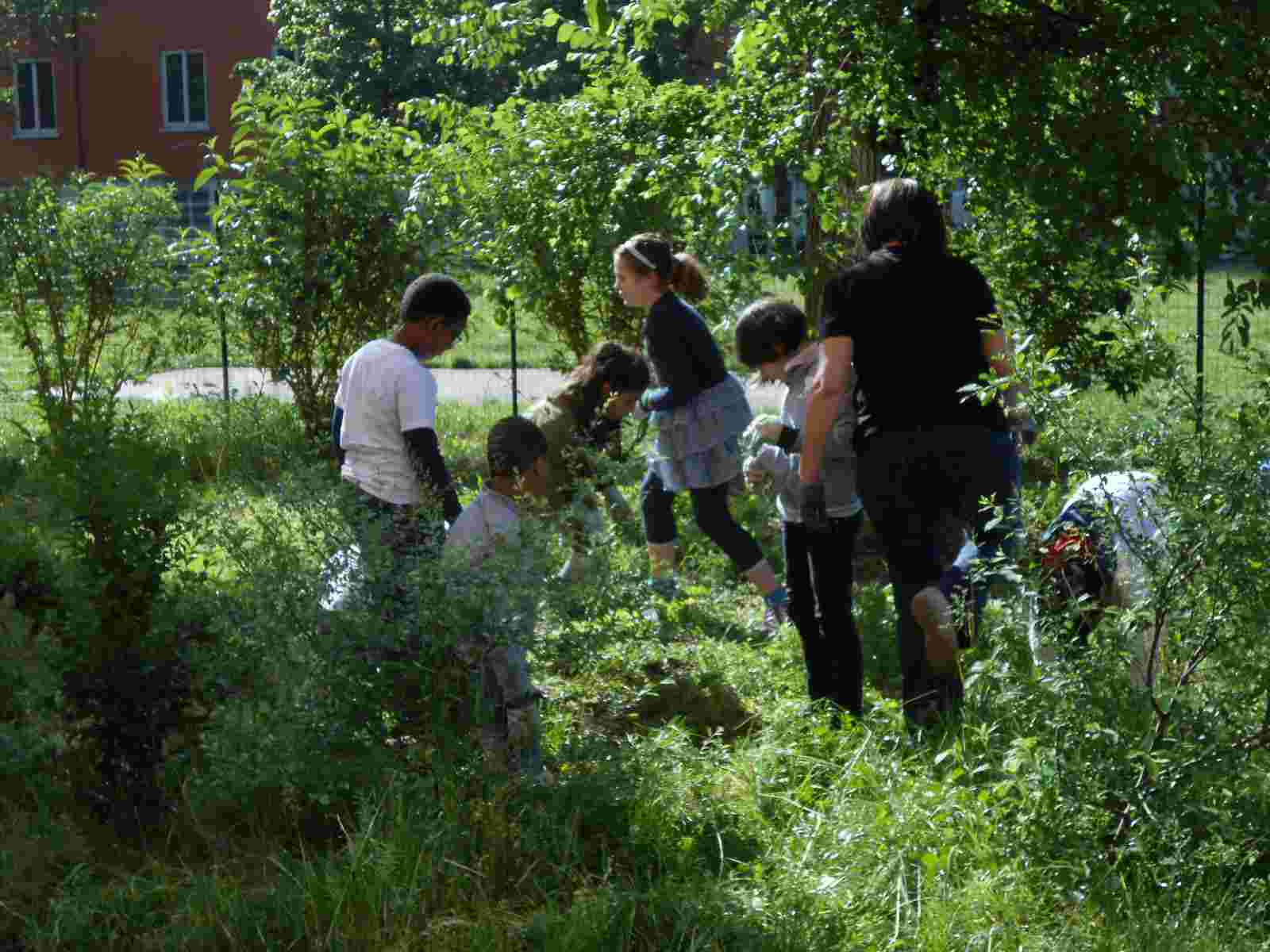 I bambini si addentrano nel giardino.