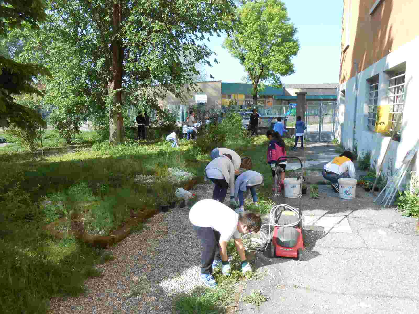 I bambini sradicano le infestanti dal vialetto con la ghiaia.