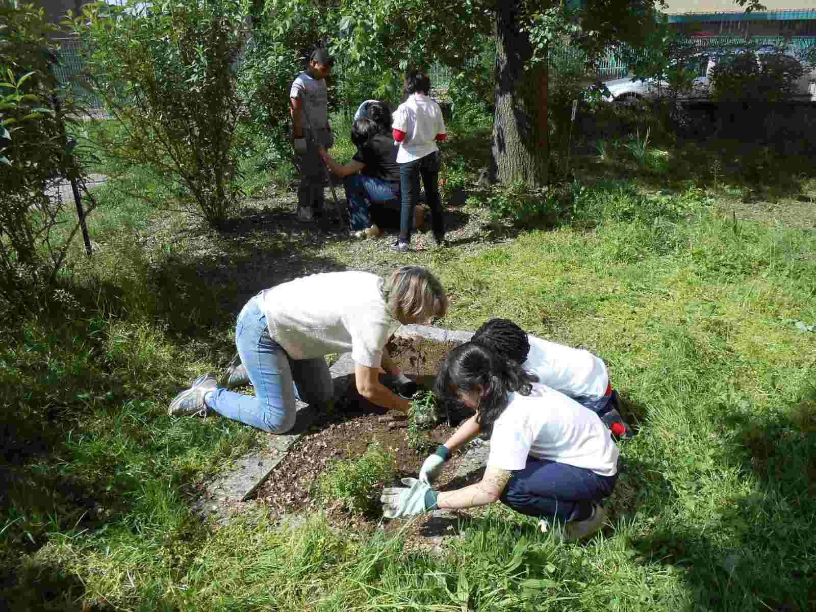 I bambini ingrandiscono un'aiuola e vi seminano e trapiantano nuove piante di tagete, roselline e gerani.