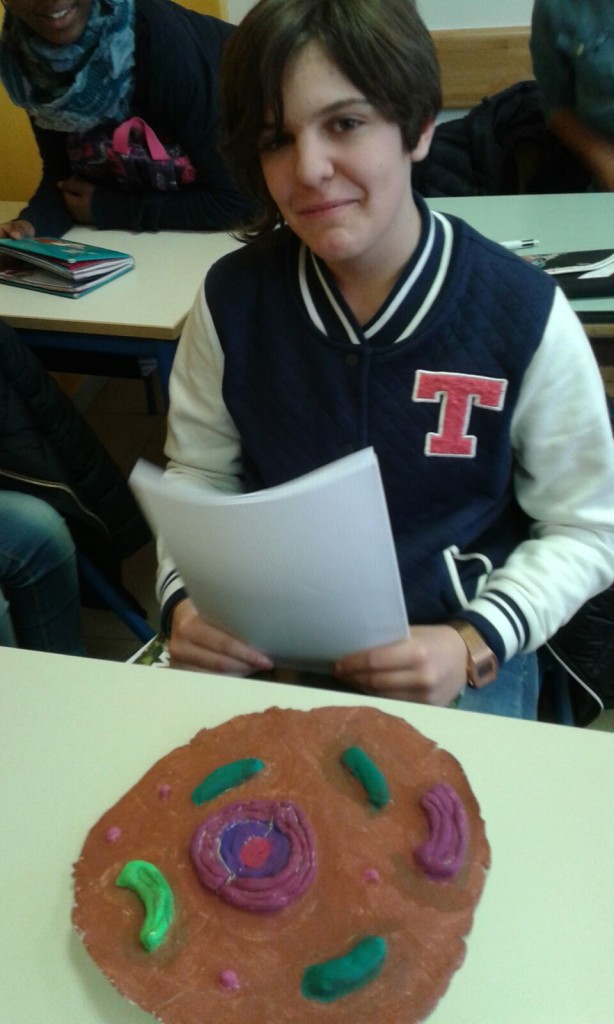 L'alunno che l'ha realizzata