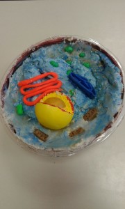 Cellule realizzate in 3D con diversi tipi di materiale