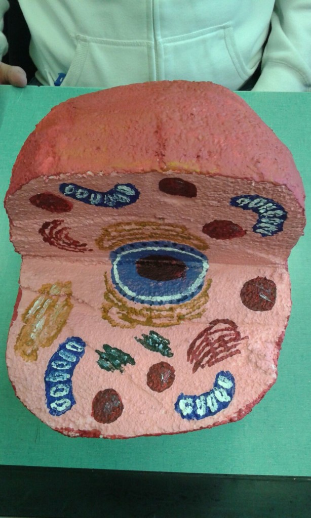 Cellula realizzata in 3D con diversi tipi di materiale