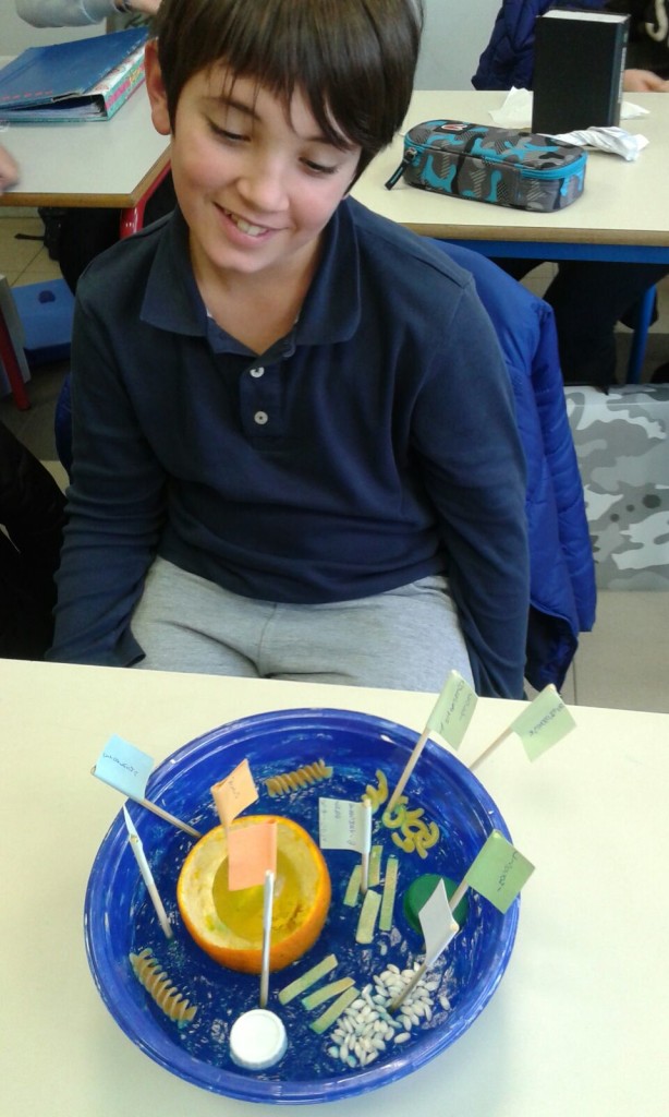 L'alunno che l'ha realizzata