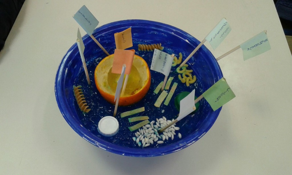 Cellula realizzata in 3D con diversi tipi di materiale