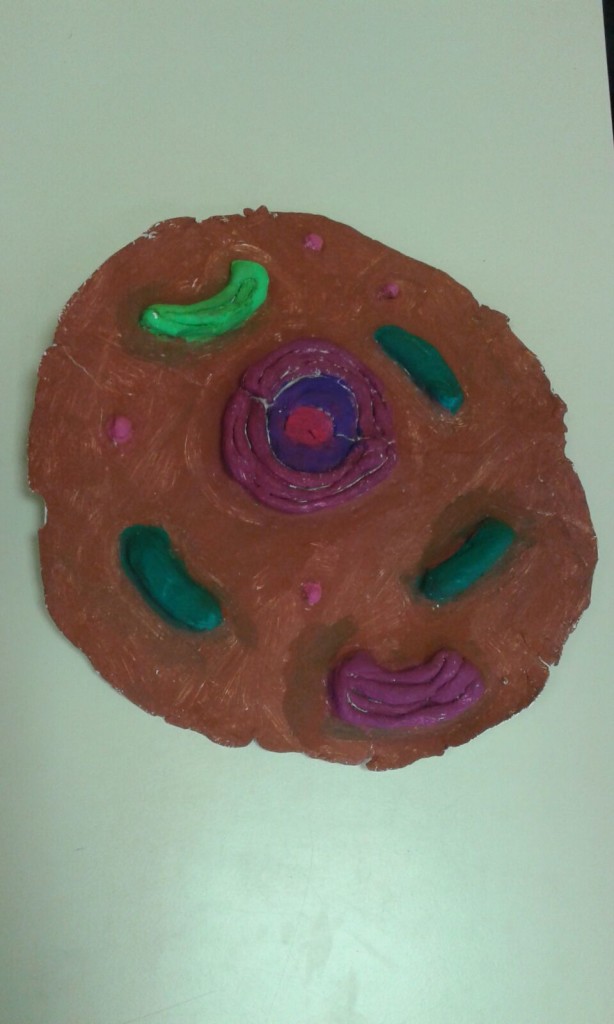 Cellula realizzata in 3D con diversi tipi di materiale