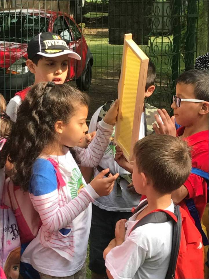 I bambini osservano un melario.